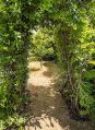 Filename=mgardens7718_89.jpg
Filesize=167KiB
Dimensions=364x500
Date added=Jul 14, 2018 mgardens7718_89.jpg