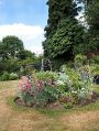 Filename=mgardens7718_96.jpg
Filesize=147KiB
Dimensions=379x500
Date added=Jul 14, 2018 mgardens7718_96.jpg