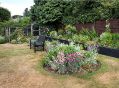 Filename=mgardens7718_97.jpg
Filesize=149KiB
Dimensions=500x367
Date added=Jul 14, 2018 mgardens7718_97.jpg