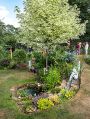 Filename=mgardens7718_98.jpg
Filesize=169KiB
Dimensions=375x500
Date added=Jul 14, 2018 mgardens7718_98.jpg