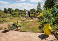Filename=mgardens8718_209.jpg
Filesize=143KiB
Dimensions=500x352
Date added=Jul 19, 2018 mgardens8718_209.jpg