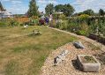 Filename=mgardens8718_212.jpg
Filesize=152KiB
Dimensions=500x356
Date added=Jul 19, 2018 mgardens8718_212.jpg