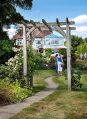 Filename=mgardens8718_231.jpg
Filesize=137KiB
Dimensions=365x500
Date added=Jul 19, 2018 mgardens8718_231.jpg