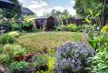 Filename=mgardens8718_238.jpg
Filesize=172KiB
Dimensions=500x334
Date added=Jul 19, 2018 mgardens8718_238.jpg