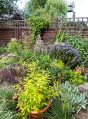Filename=mgardens8718_239.jpg
Filesize=189KiB
Dimensions=368x500
Date added=Jul 19, 2018 mgardens8718_239.jpg