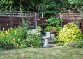Filename=mgardens8718_240.jpg
Filesize=170KiB
Dimensions=500x352
Date added=Jul 19, 2018 mgardens8718_240.jpg