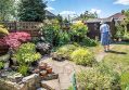 Filename=mgardens8718_245.jpg
Filesize=161KiB
Dimensions=500x346
Date added=Jul 19, 2018 mgardens8718_245.jpg