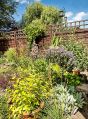 Filename=mgardens8718_247.jpg
Filesize=197KiB
Dimensions=369x500
Date added=Jul 19, 2018 mgardens8718_247.jpg