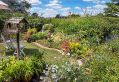 Filename=mgardens8718_259.jpg
Filesize=178KiB
Dimensions=500x345
Date added=Jul 19, 2018 mgardens8718_259.jpg