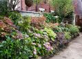 Filename=mgardens8718_269.jpg
Filesize=174KiB
Dimensions=500x357
Date added=Jul 19, 2018 mgardens8718_269.jpg