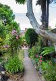 Filename=mgardens8718_270.jpg
Filesize=153KiB
Dimensions=347x500
Date added=Jul 19, 2018 mgardens8718_270.jpg
