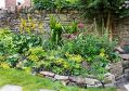 Filename=mgardens8718_276.jpg
Filesize=177KiB
Dimensions=500x351
Date added=Jul 19, 2018 mgardens8718_276.jpg