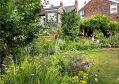 Filename=mgardens8718_277.jpg
Filesize=172KiB
Dimensions=500x352
Date added=Jul 19, 2018 mgardens8718_277.jpg