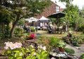 Filename=mgardens8718_280.jpg
Filesize=176KiB
Dimensions=500x351
Date added=Jul 19, 2018 mgardens8718_280.jpg