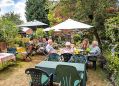 Filename=mgardens8718_283a.jpg
Filesize=159KiB
Dimensions=500x360
Date added=Jul 19, 2018 mgardens8718_283a.jpg