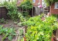 Filename=mgardens8718_288.jpg
Filesize=177KiB
Dimensions=500x356
Date added=Jul 19, 2018 mgardens8718_288.jpg