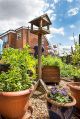 Filename=mgardens8718_289.jpg
Filesize=132KiB
Dimensions=334x500
Date added=Jul 19, 2018 mgardens8718_289.jpg
