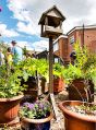 Filename=mgardens8718_290.jpg
Filesize=156KiB
Dimensions=370x500
Date added=Jul 19, 2018 mgardens8718_290.jpg