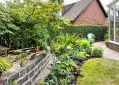 Filename=mgardens8718_300.jpg
Filesize=180KiB
Dimensions=500x355
Date added=Jul 19, 2018 mgardens8718_300.jpg