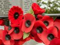 Filename=mgardens8718_319.jpg
Filesize=97KiB
Dimensions=500x375
Date added=Jul 19, 2018 mgardens8718_319.jpg