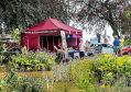 Filename=mgardens8718_323.jpg
Filesize=176KiB
Dimensions=500x353
Date added=Jul 19, 2018 mgardens8718_323.jpg