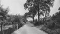 AndrewLane1954.jpg