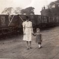 Filename=noble-ray-mum-rose-hill.jpg
Filesize=65KiB
Dimensions=494x500
Date added=Feb 16, 2013 noble-ray-mum-rose-hill.jpg