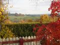 DSCN0386.jpg