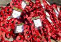 Filename=Cenotaph101113_088.JPG
Filesize=93KiB
Dimensions=500x349
Date added=Nov 11, 2013 Cenotaph101113_088.JPG