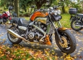 Filename=poppyappealride231022_61.jpg
Filesize=232KiB
Dimensions=500x359
Date added=Oct 26, 2022 poppyappealride231022_61.jpg