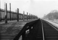 middlewood-higher-stn-summer-66-01.jpg