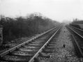 middlewood-higher-stn-summer-66-06.jpg