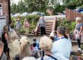 Filename=rose-hill-station-5719_100.jpg
Filesize=113KiB
Dimensions=500x363
Date added=Jul 15, 2019 rose-hill-station-5719_100.jpg