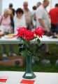 Filename=Img_7362a.jpg
Filesize=37KiB
Dimensions=348x500
Date added=Sep 14, 2012 Img_7362a.jpg