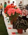 Filename=Img_7369a.jpg
Filesize=57KiB
Dimensions=408x500
Date added=Sep 14, 2012 Img_7369a.jpg