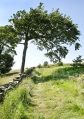 Filename=ShawCairn22712015.JPG
Filesize=98KiB
Dimensions=350x500
Date added=Jul 28, 2012 ShawCairn22712015.JPG