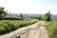 Filename=ShawCairn22712030.JPG
Filesize=69KiB
Dimensions=500x336
Date added=Jul 28, 2012 ShawCairn22712030.JPG
