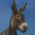 Filename=Donkey-GeraldHooper2011.jpg
Filesize=85KiB
Dimensions=498x500
Date added=Jun 17, 2011 Donkey-GeraldHooper2011.jpg