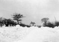 Filename=1940s-snow-11.jpg
Filesize=49KiB
Dimensions=500x360
Date added=Apr 29, 2012 1940s-snow-11.jpg