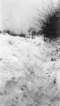 Filename=1940s-snow-19.jpg
Filesize=40KiB
Dimensions=286x500
Date added=Apr 29, 2012 1940s-snow-19.jpg