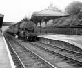 Filename=marple_001.jpg
Filesize=76KiB
Dimensions=500x409
Date added=Nov 17, 2016 marple_001.jpg