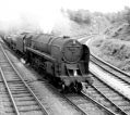 marple_004.jpg