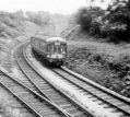marple_008.jpg