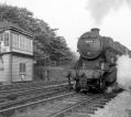 marple_009.jpg
