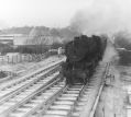 Filename=marple_014.jpg
Filesize=66KiB
Dimensions=500x450
Date added=Nov 17, 2016 marple_014.jpg