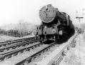 Filename=marple_016.jpg
Filesize=61KiB
Dimensions=500x382
Date added=Nov 17, 2016 marple_016.jpg