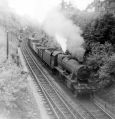 marple_020.jpg