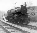marple_022.jpg