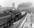 Filename=marple_024.jpg
Filesize=76KiB
Dimensions=500x413
Date added=Nov 17, 2016 marple_024.jpg