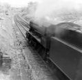 Filename=marple_027.jpg
Filesize=73KiB
Dimensions=500x491
Date added=Nov 17, 2016 marple_027.jpg